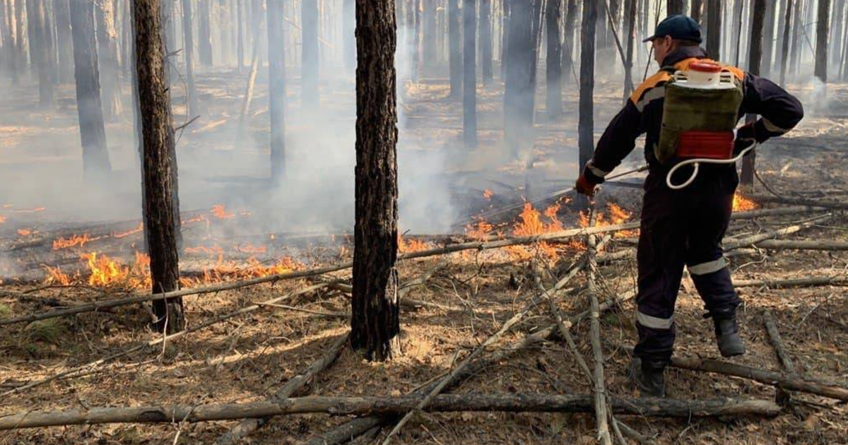 В пяти районах Тюменской области зафиксированы ландшафтные пожары